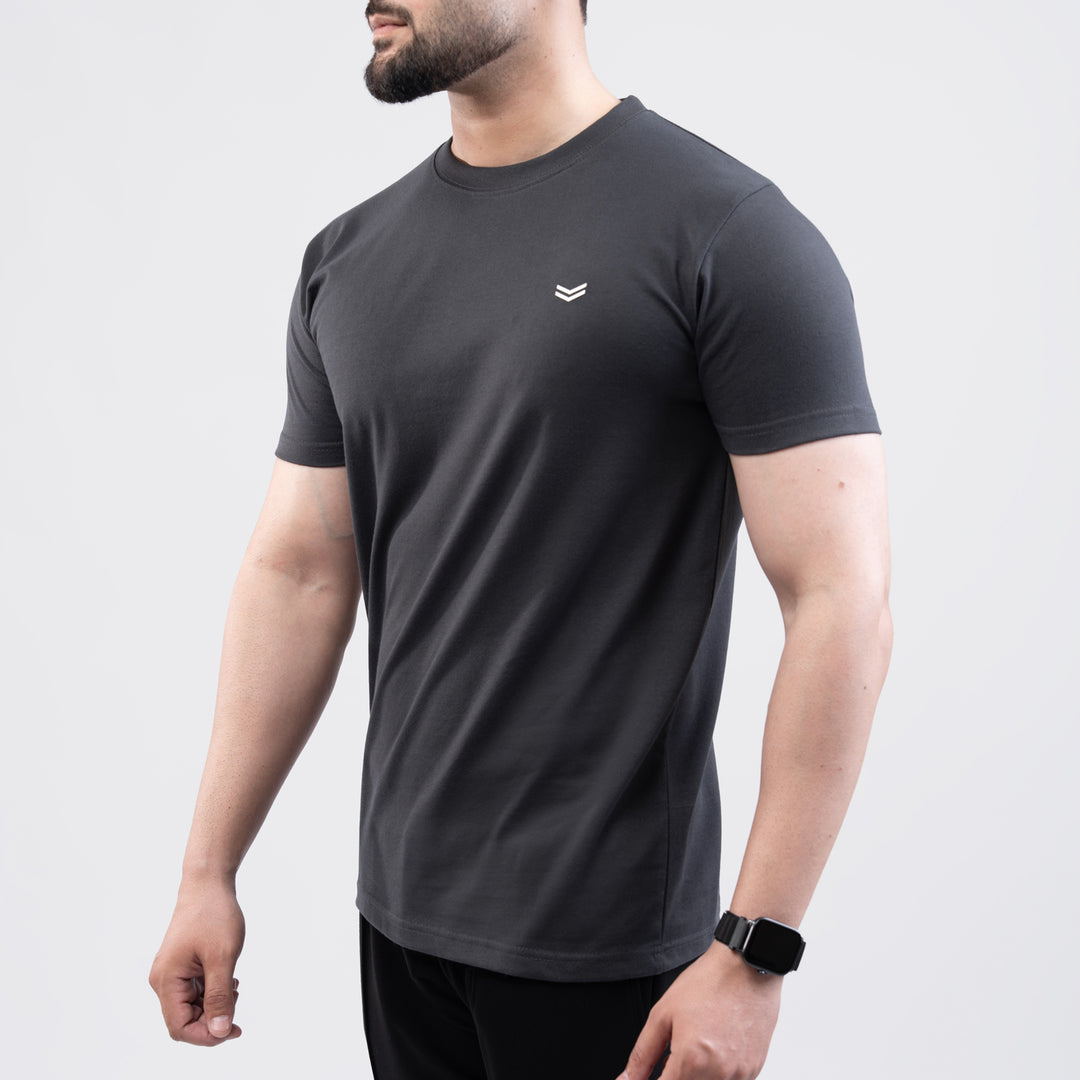 Gray Regular Fit T-Shirt