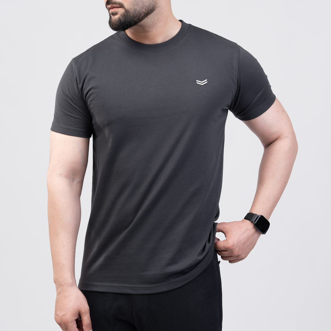 Gray Regular Fit T-Shirt