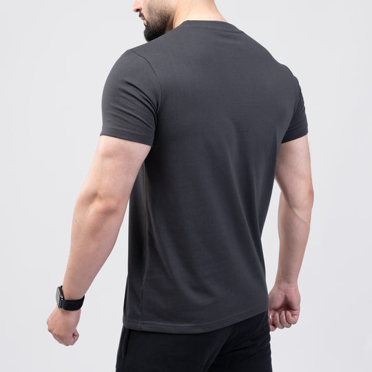 Gray Regular Fit T-Shirt