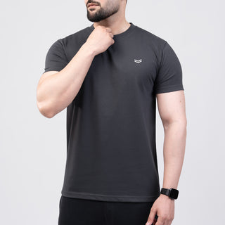Gray Regular Fit T-Shirt